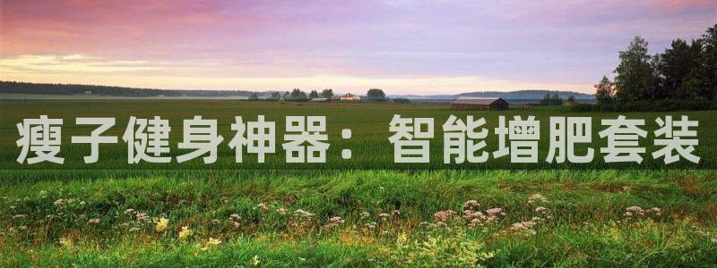 征途国际新能源:瘦子健身神器:智能增肥套装