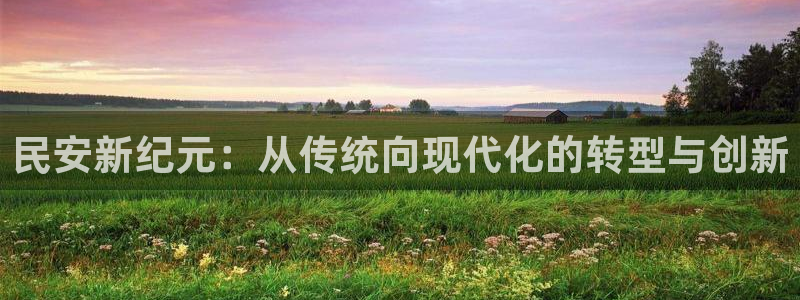 征途国际平台假的吗是真的吗吗:民安新纪元:从传统向现代化的转