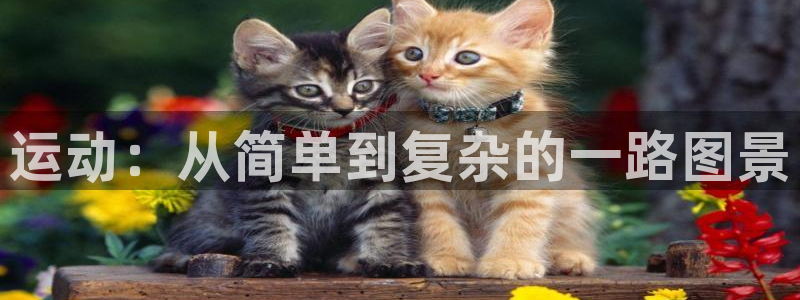 征途国际平台注册流程视频:运动:从简单到复杂的一路图景