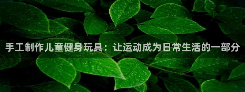 征途国际平台注册要钱吗安全吗:手工制作儿童健身玩具:让运动成