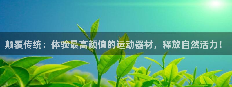 征途国际招商电话号码查询是多少:颠覆传统:体验最高颜值的运动