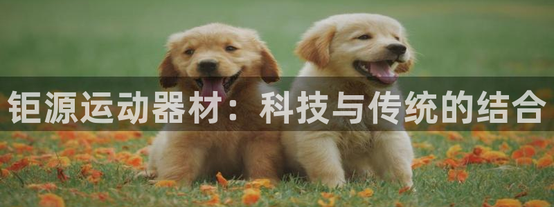 征途国际新能源:钜源运动器材:科技与传统的结合